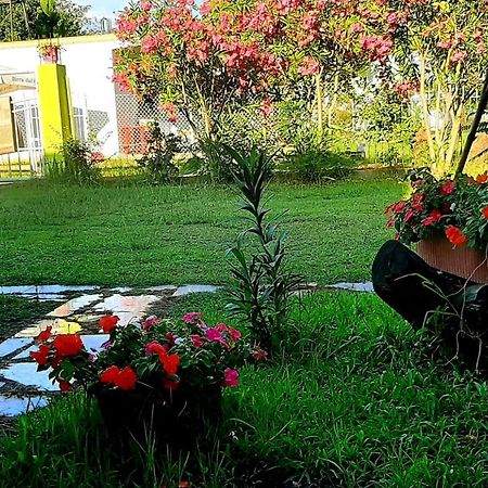 Kolonia E Artistave Apartment Velipoje Ngoại thất bức ảnh